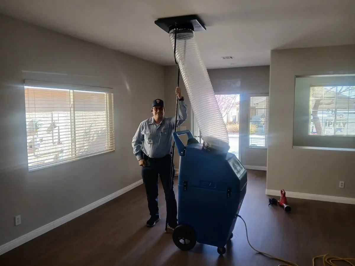 Professional Dryer Vent Cleaning work inside a Forest Park home